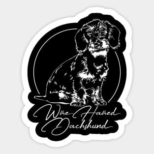 Funny Proud Wire Haired Dachshund dog portrait Sticker